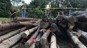 Polda Riau Limpahkan Berkas Tersangka Perambah Hutan PT DRT